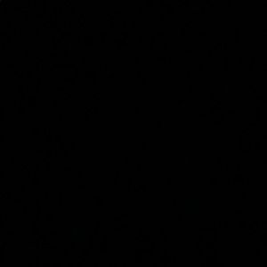 Meet your Posher, Teona